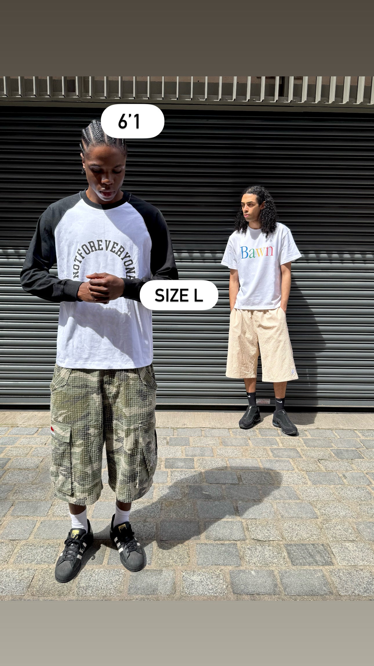 NFE ARCH BASEBALL LS [WHITE]